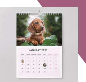 Photobubble Calendar