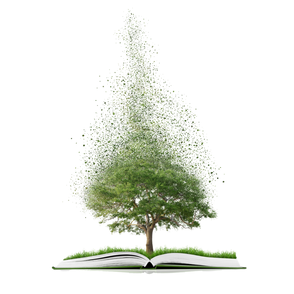 Sustainable Books Tree